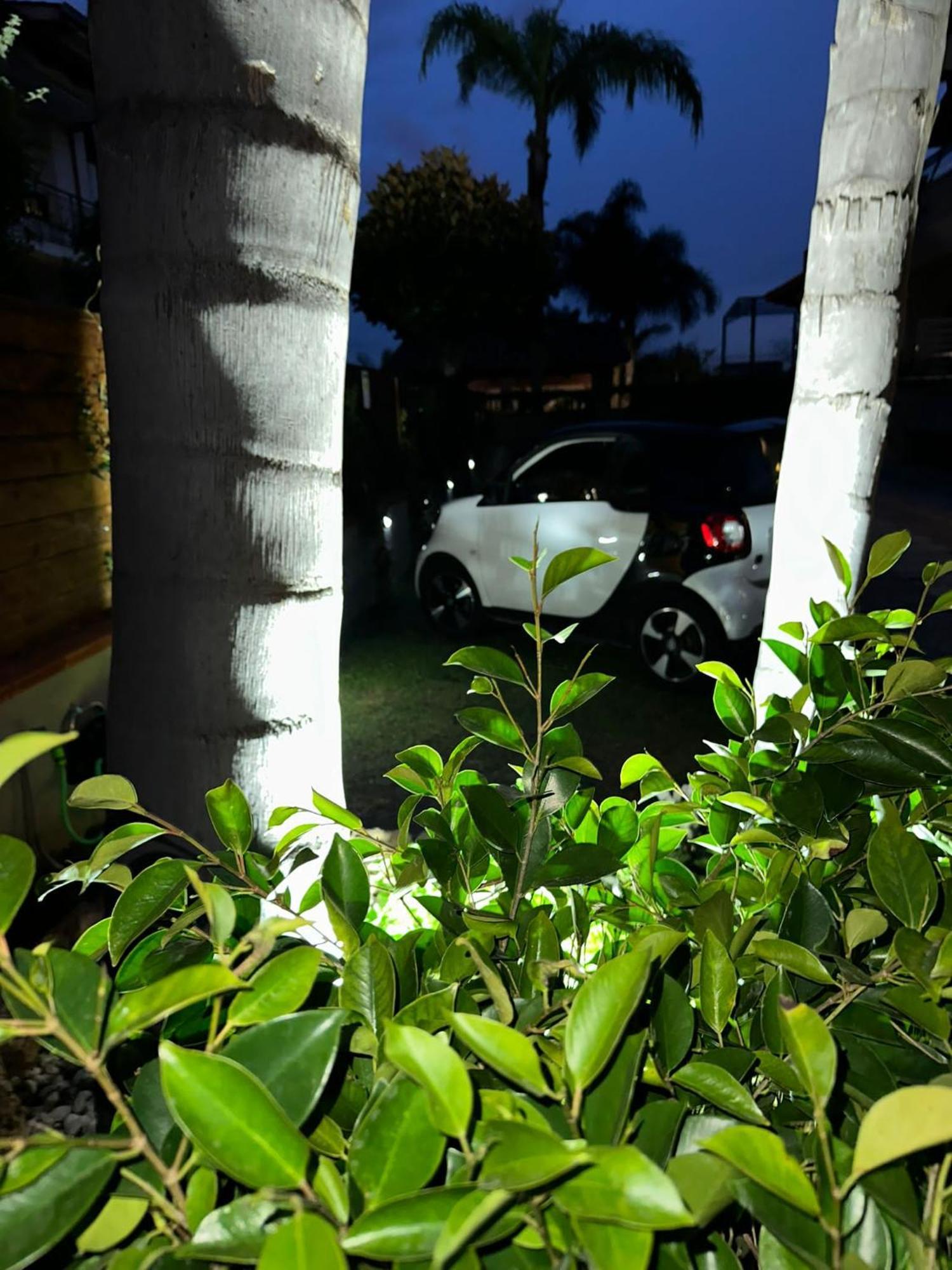 Maison Aphrodite บอสโกเรอาเล ภายนอก รูปภาพ